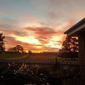 Meet your Posher, Annette